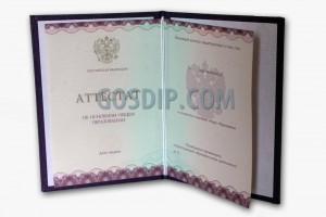 купить аттестат за 9 класс 2014, 2015, 2016 годов в санкт-петербурге